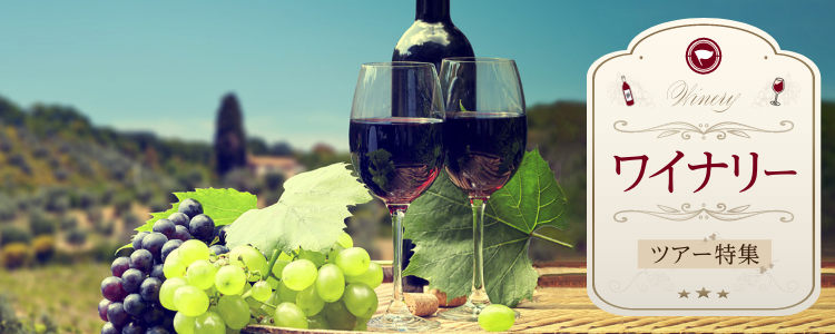 ワイナリー日帰りツアー