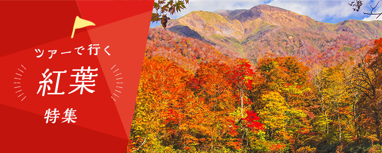 日帰りツアーで行く 紅葉