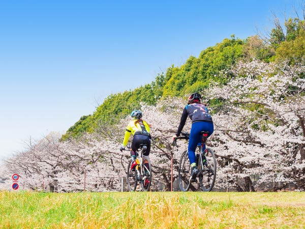 春休みツアー アクティビティ