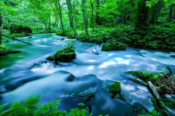 奥入瀬渓流 魅力