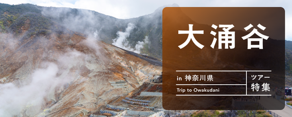 大涌谷 ツアー