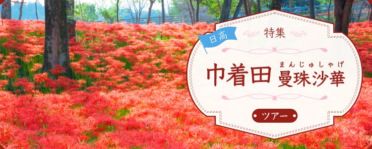 巾着田 曼珠沙華 ツアー