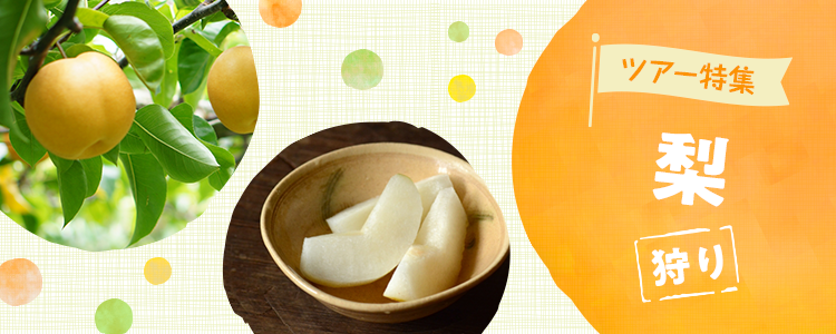 梨狩りバスツアー