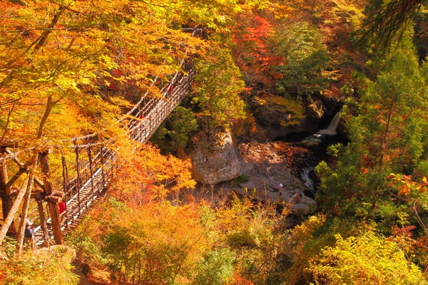 祖谷のかずら橋