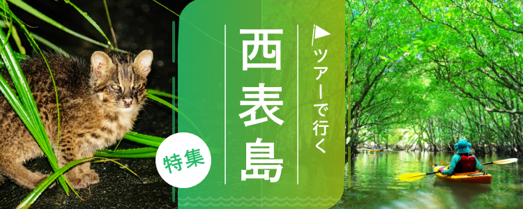 西表島 ツアー
