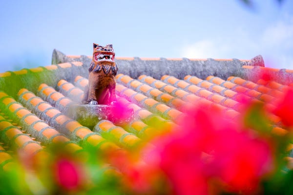 竹富島