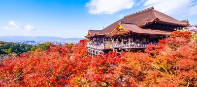 京都観光 バスツアー