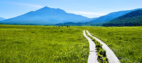 東京発 人気の日帰り 宿泊登山 トレッキング ハイキングバスツアー一覧 バス比較なび