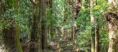 熊野古道 バスツアー