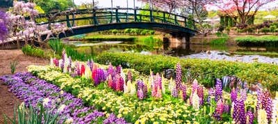 あしかがフラワーパーク バスツアー