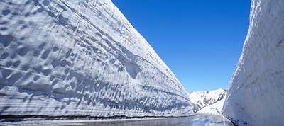 雪の大谷 パッケージツアー