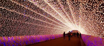 イルミネーション バスツアー