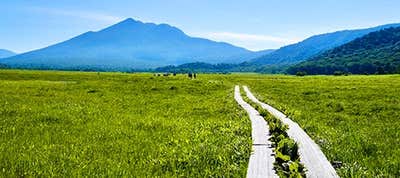 尾瀬 バスツアー