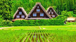 白川郷