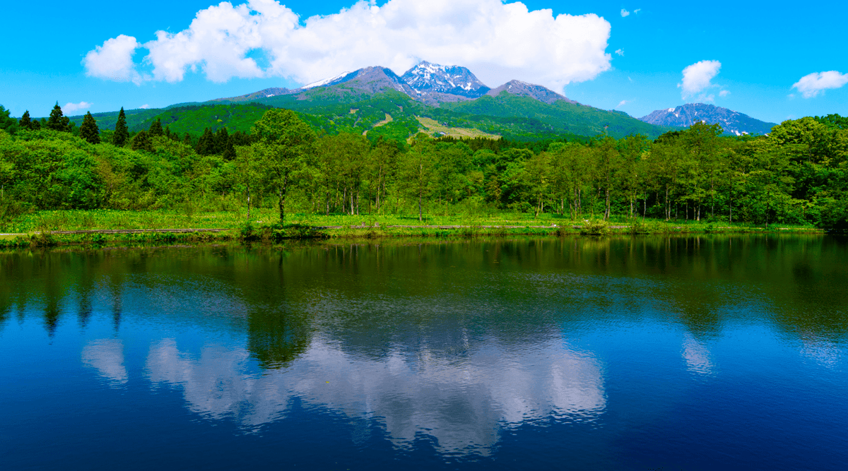 妙高山といもり池