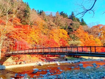 紅の吊橋