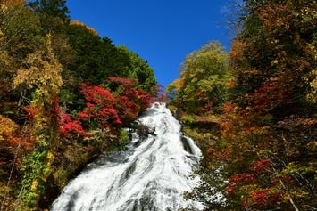 湯滝