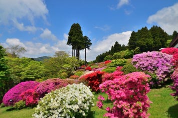 山のホテル