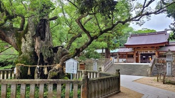 大山祇神社
