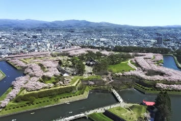 五稜郭公園