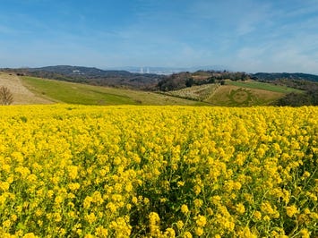 あわじ花さじき