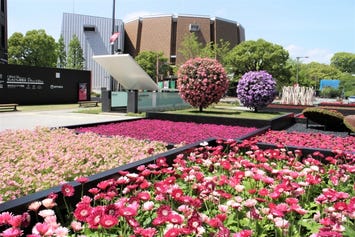 花畑広場