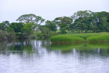 尾岱沼