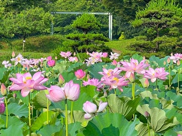 古河公方公園