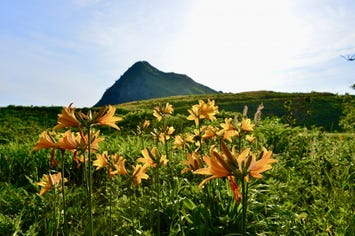 大野亀