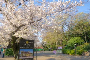 上野公園