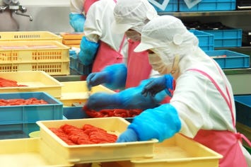 めんたいパーク神戸三田