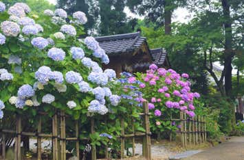 千光寺