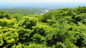 那須高原