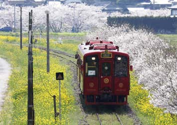 ことこと列車