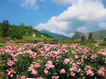 いばらきフラワーパーク