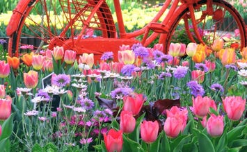 とっとり花回廊