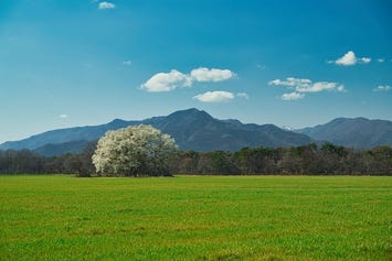 千本松牧場
