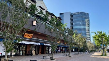 豊洲 千客万来