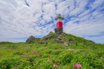 沓形岬公園