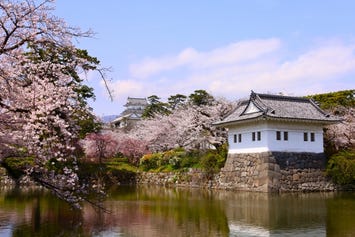 小田原城址公園