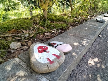 トキの森公園