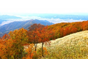 八海山