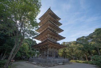 妙成寺