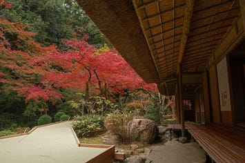 九年庵