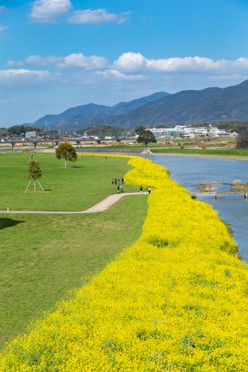 遠賀川