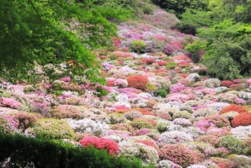 御船山楽園