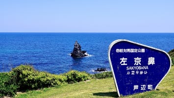 左京鼻