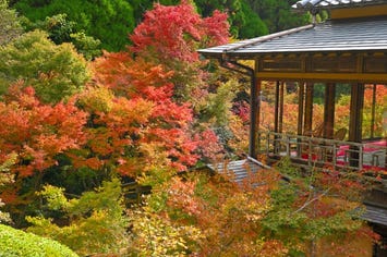 環境芸術の森