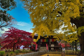 鑁阿寺