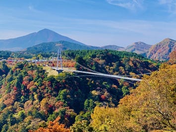 九重夢大吊橋